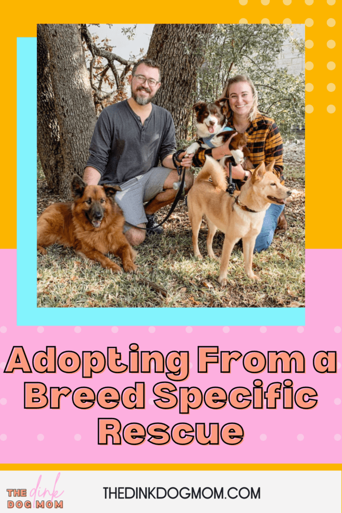 Pinterest Pin for Adopting From a Breed Specific Rescue