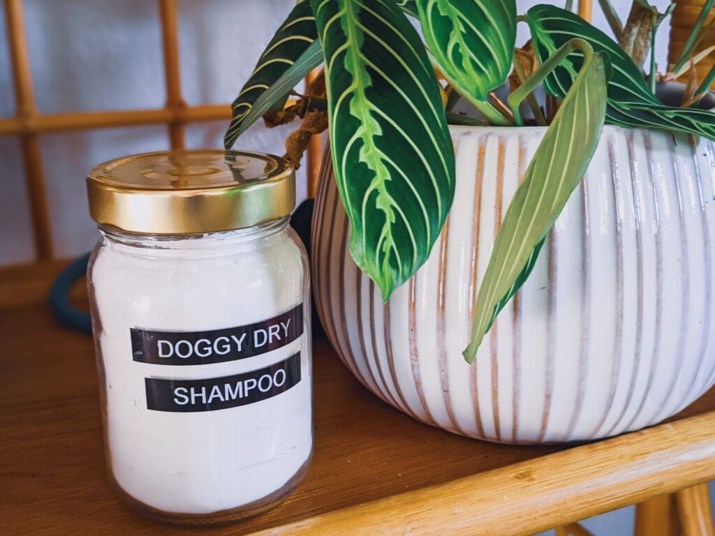 Diy dry 2025 dog shampoo spray