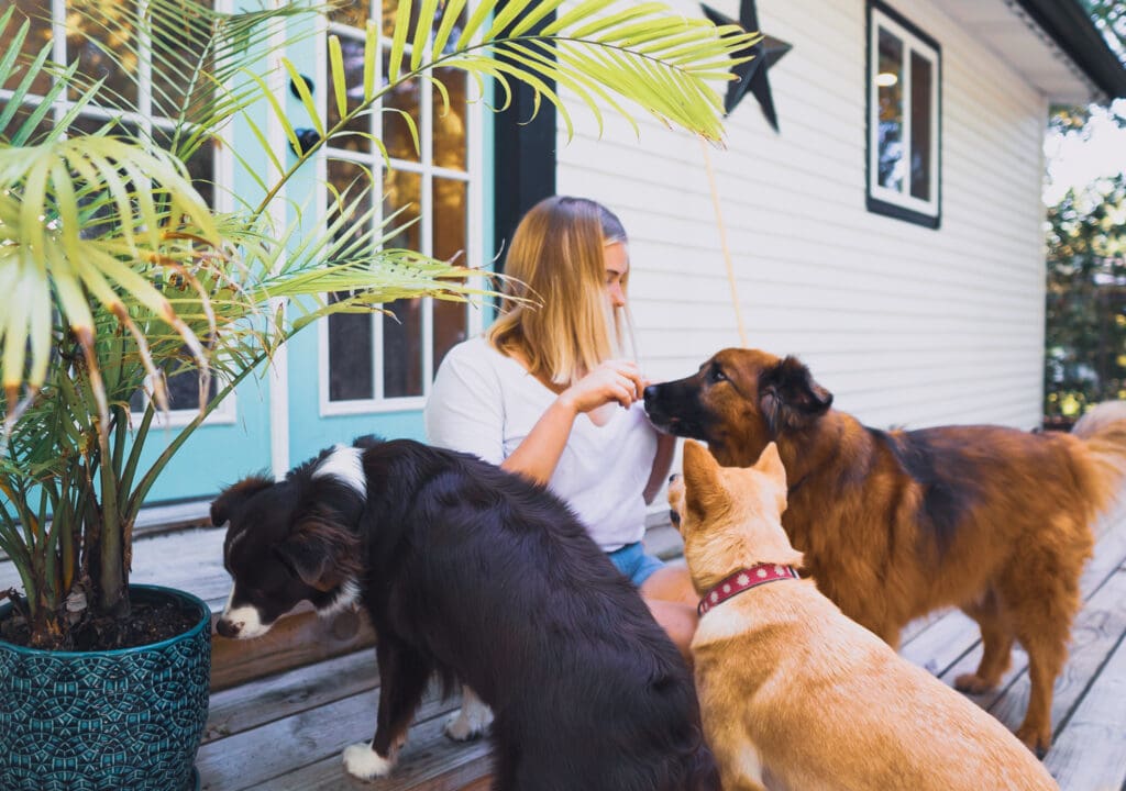 Blair gives treats to three dogs