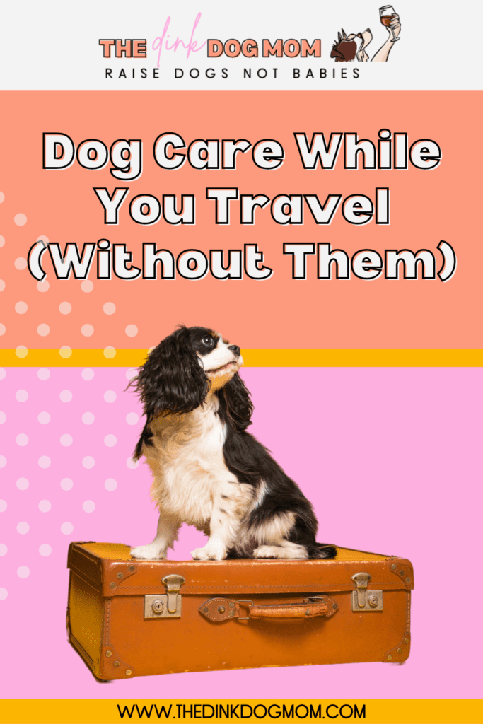 Pinterest Pin featuring a dog sitting on top of a suitcase