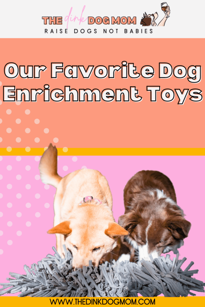 Pin for cognitive enrichment for dogs.