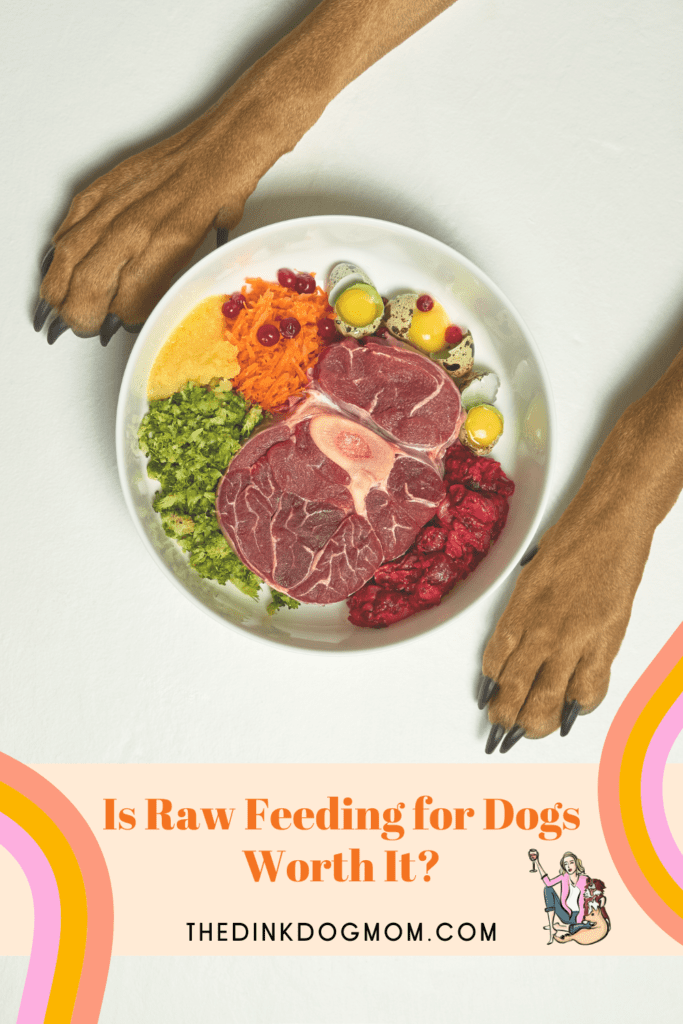 raw food for dogs worth it