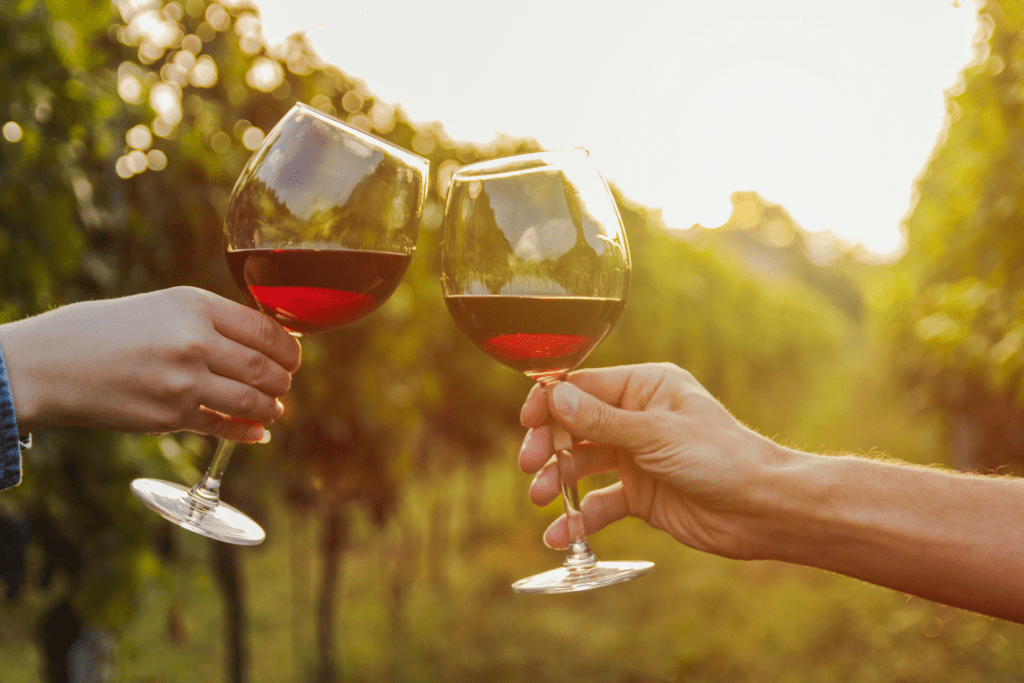 two wine glasses with red wine