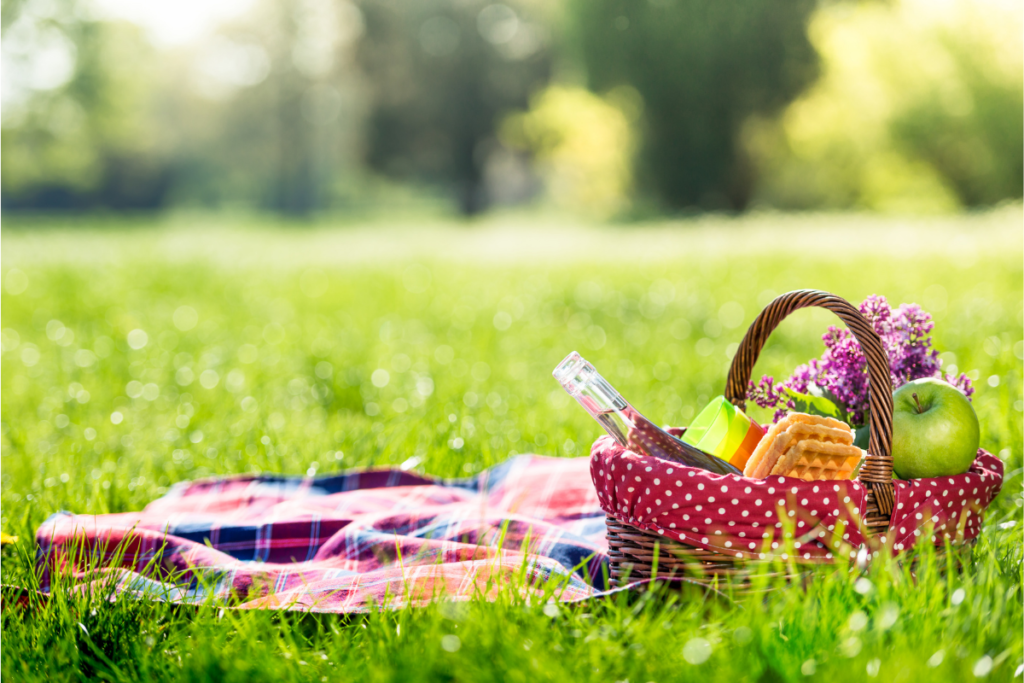 Picnic blanket with a basket of wine and fruit