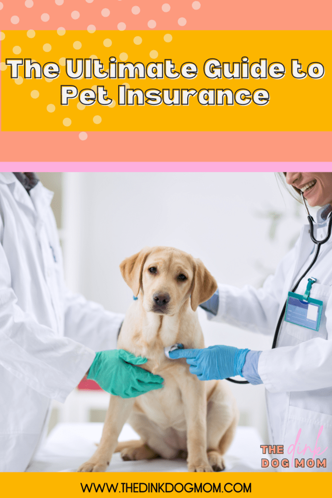 pin for ultimate guide to pet insurance