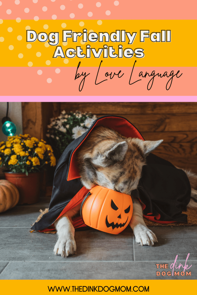 pin for dog friendly fall activities