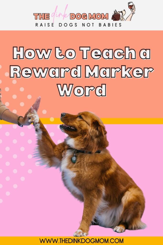 Pin for reward marker word dog training