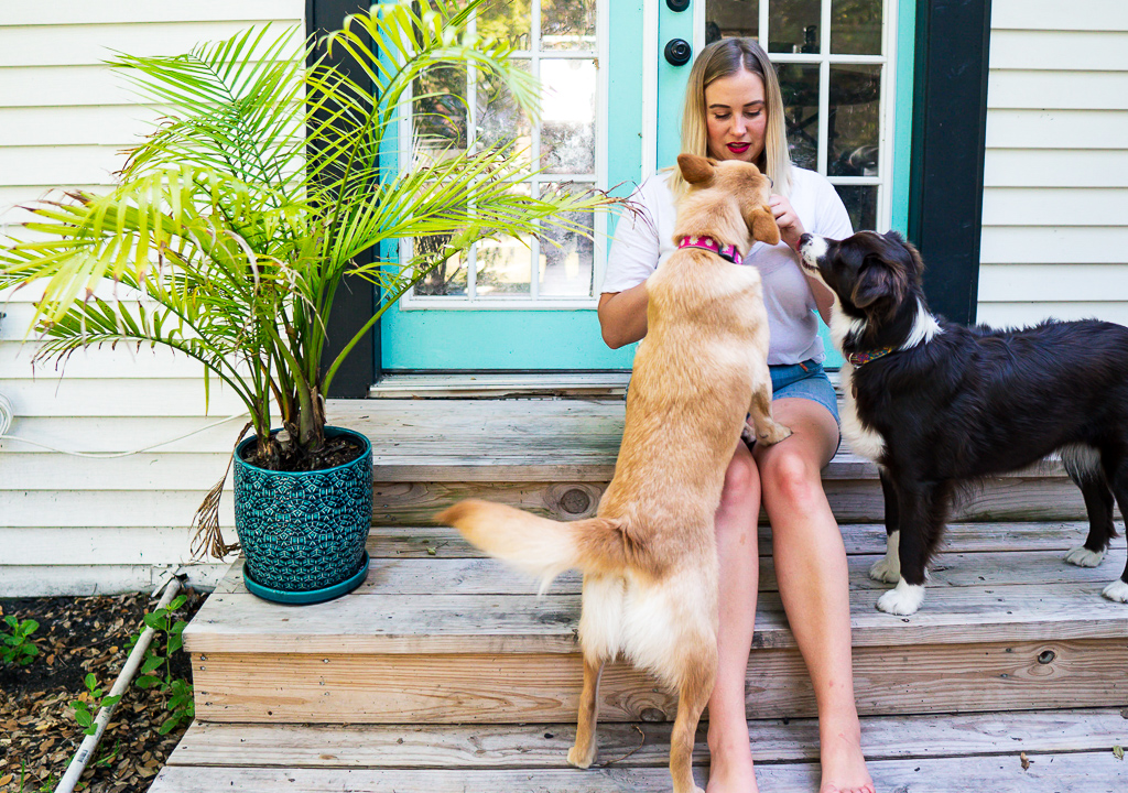 Blair sits on wooden steps feeding her two dogs, June and Margot, treats. A bright green Areca Palm in a teal pot is next to them.