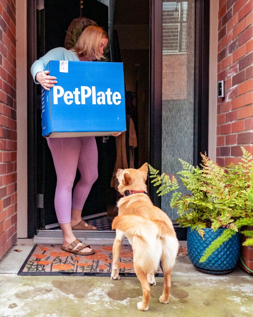 Blair, a white woman with shoulder length blonde hair, is bringing a blue PetPlate box inside from our on her front porch where it was delivered. June, a mutt, stands in front of her looking at the box.