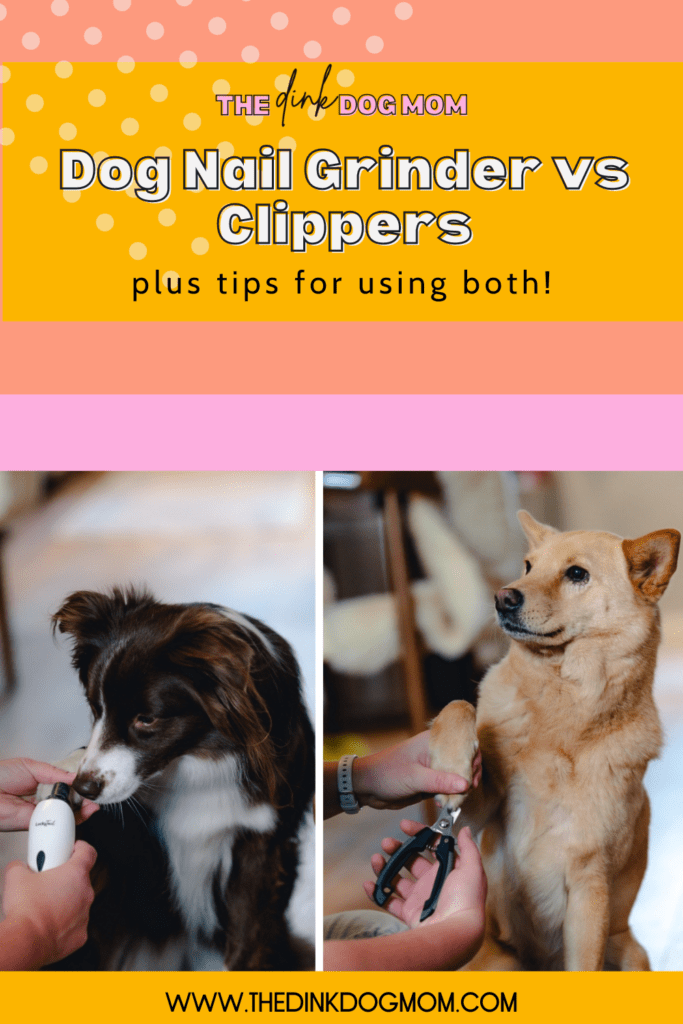 Pin for Dog Nail Grinder vs Nail Clippers