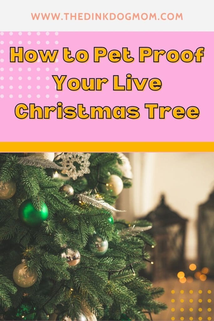 pin for live christmas tree with pets