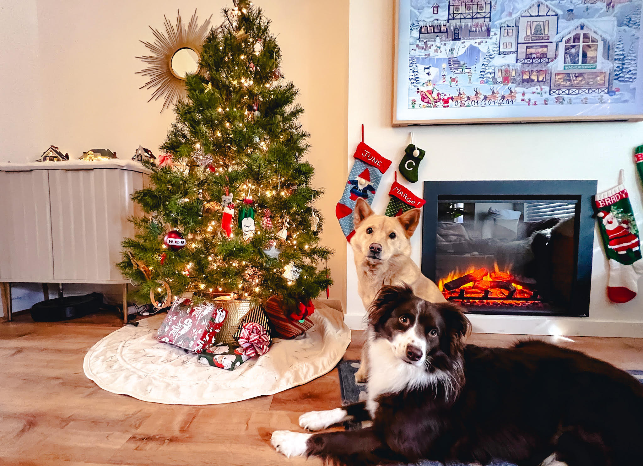 June and Margot, two dogs, pose in front of a live Christmas tree and electric fireplace.